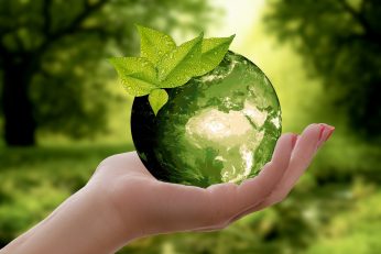 dan zemlje iso 14001